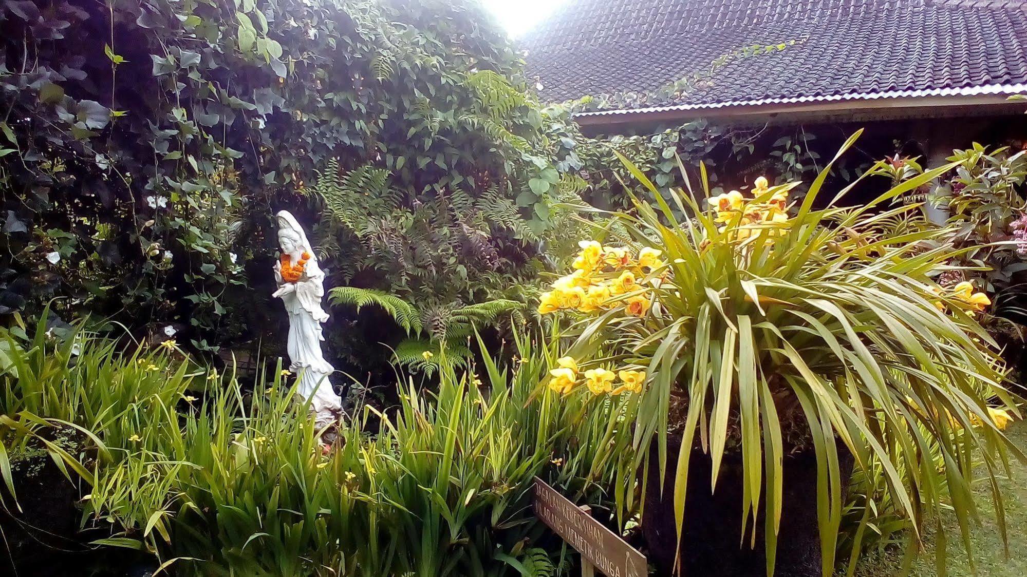 Warung Rekreasi Bedugul Hotel Eksteriør bilde